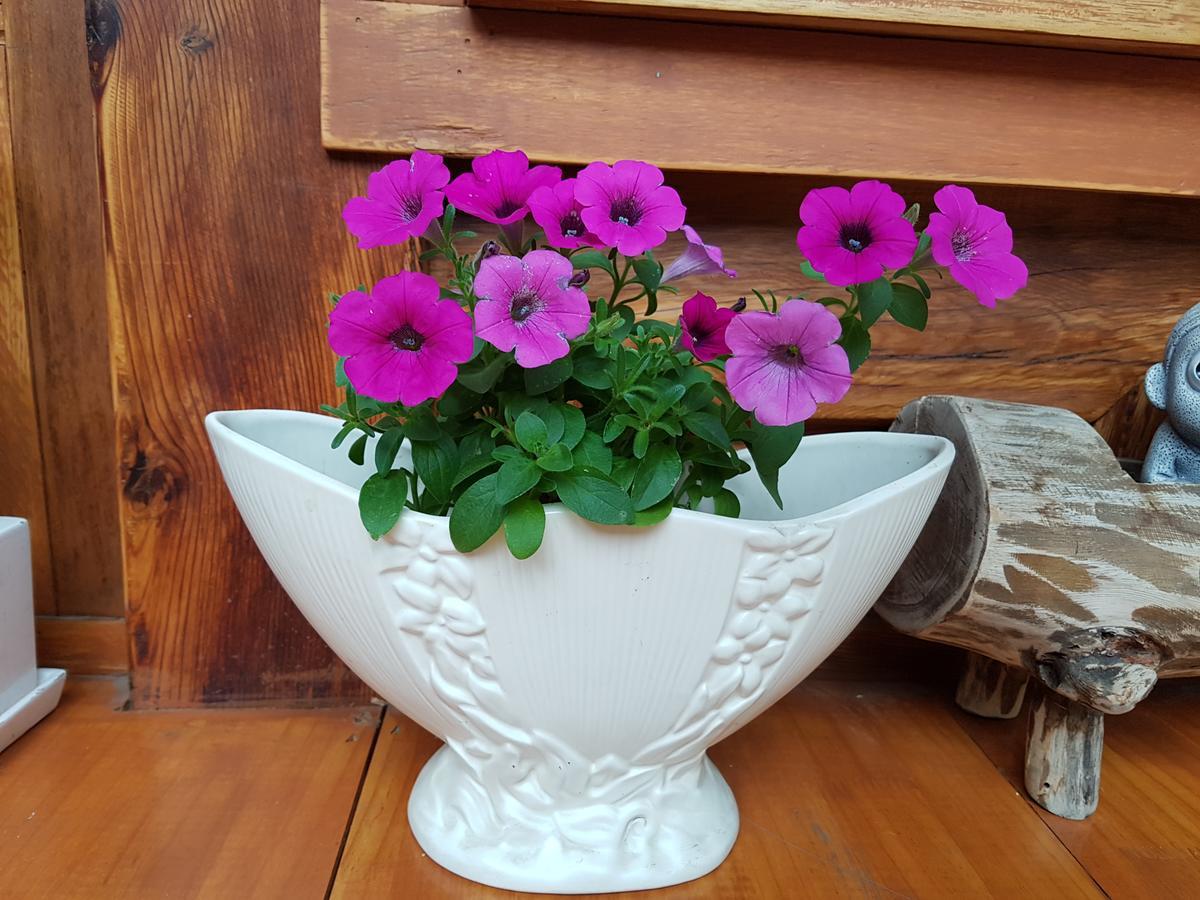 Dajayon Hanok Stay Seul Zewnętrze zdjęcie