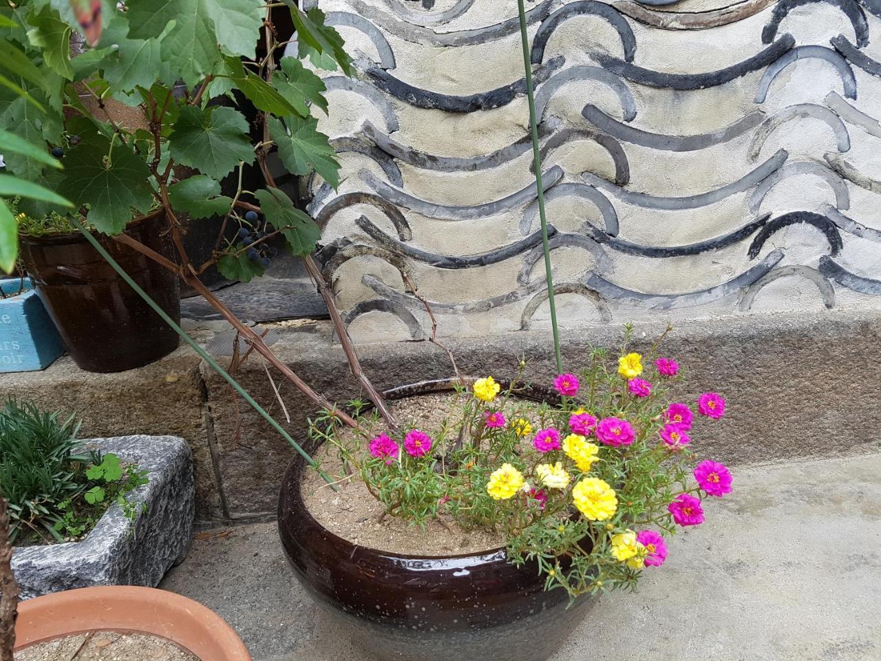 Dajayon Hanok Stay Seul Zewnętrze zdjęcie